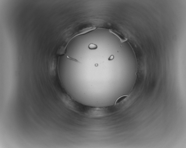 X0000111250082200907021440