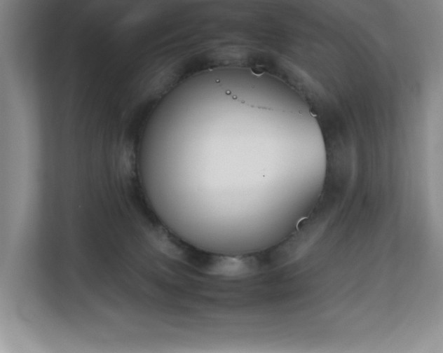 X0000111250083200907021440
