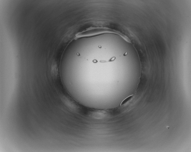 X0000111250086200907021440