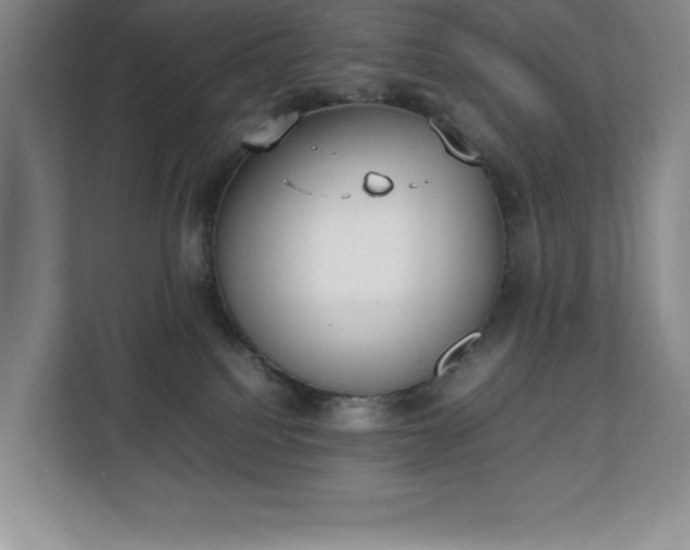 X0000111250088200907021440