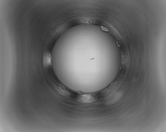 X0000111250095200907021440