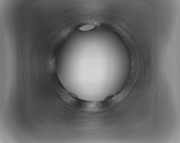 X0000111250096200907021440