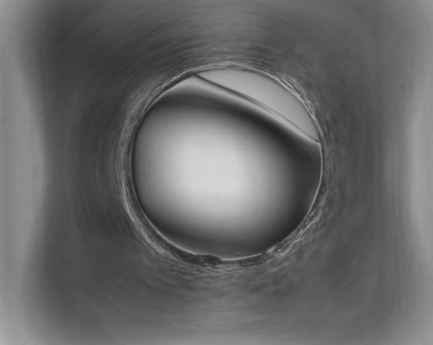 X0000111250097200907021439