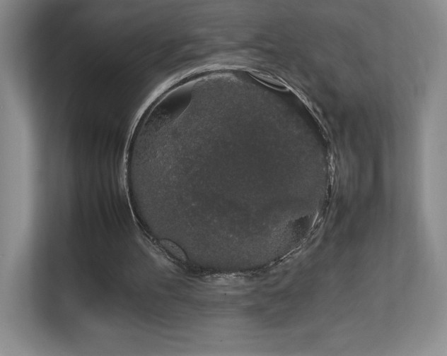 X0000111250100200907021439