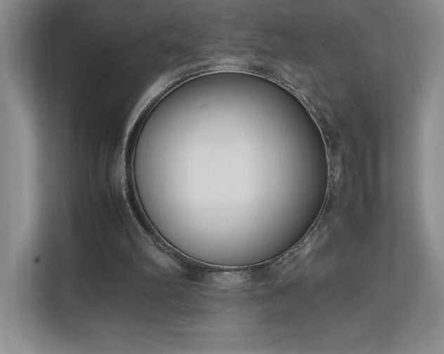 X0000111250102200907021439