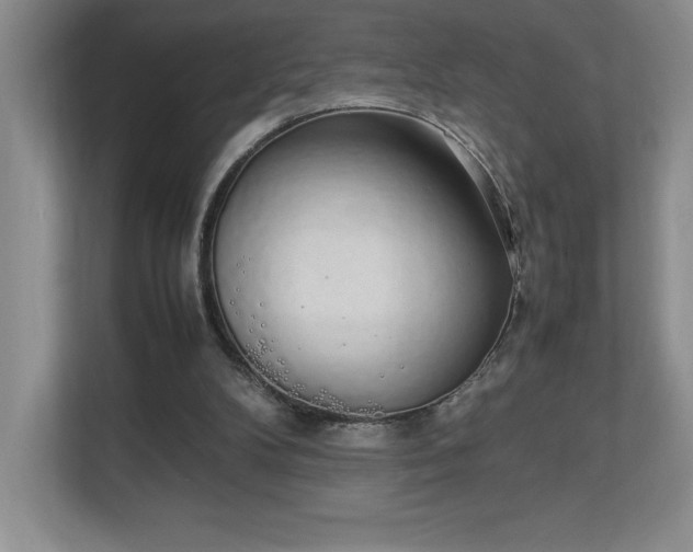 X0000111250104200907021439