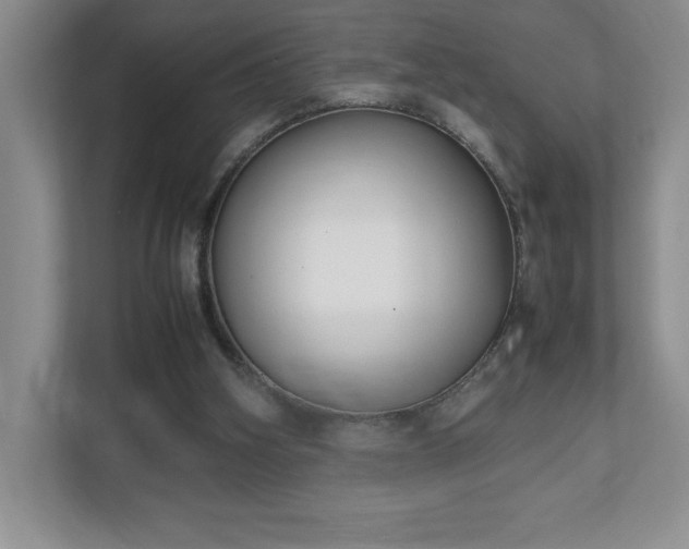 X0000111250106200907021439