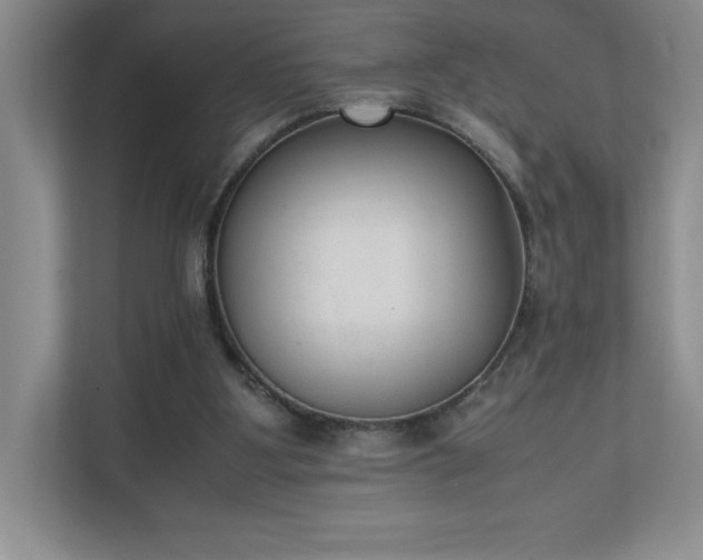 X0000111250107200907021439
