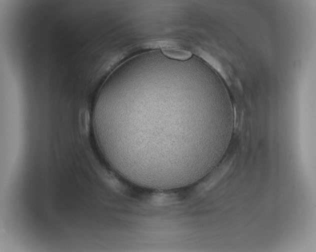 X0000111250109200907021439