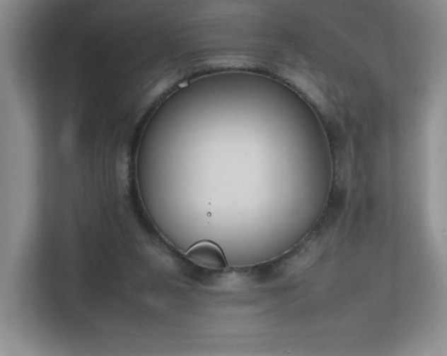 X0000111250111200907021439