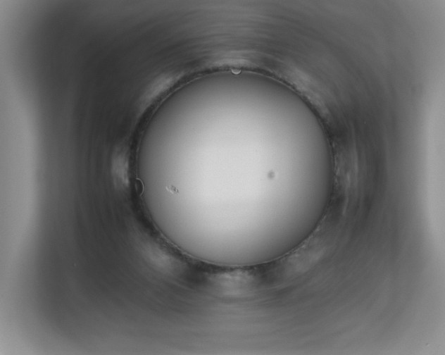 X0000111250112200907021439