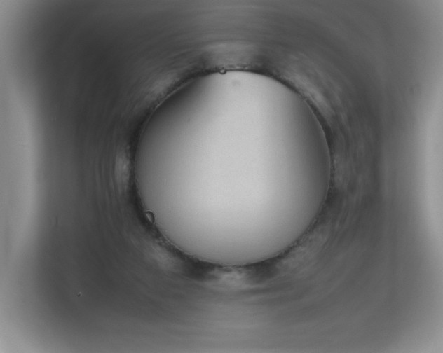 X0000111250113200907021439