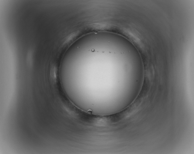 X0000111250115200907021439