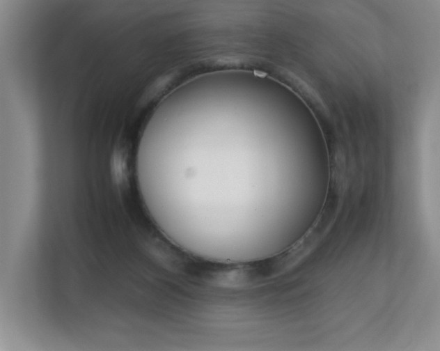 X0000111250116200907021439