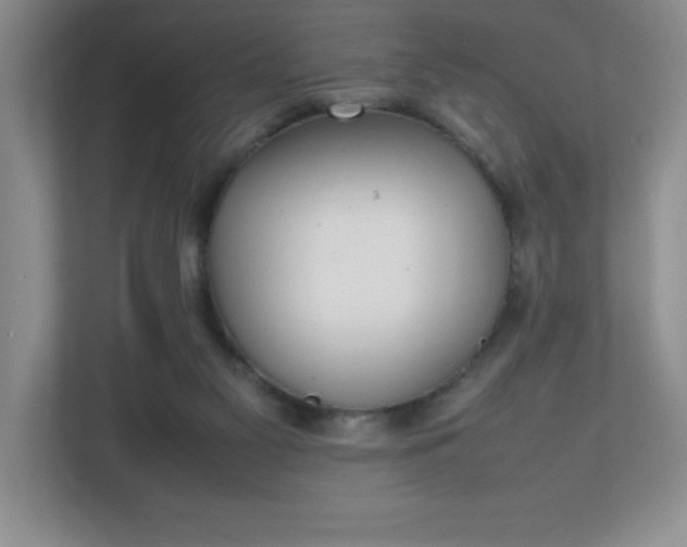 X0000111250117200907021439