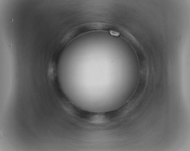 X0000111250119200907021439