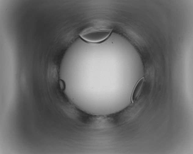 X0000111250121200907021439