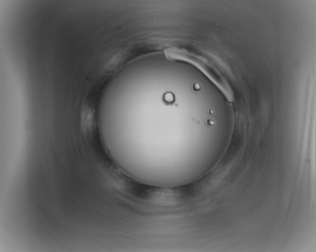 X0000111250123200907021439