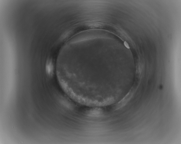 X0000111250124200907021439