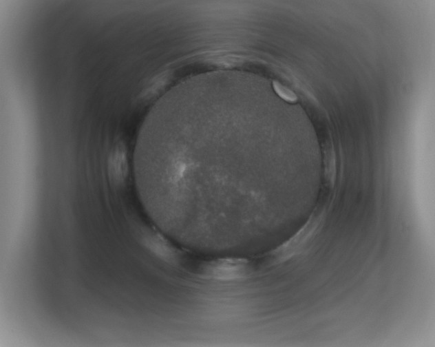 X0000111250128200907021439
