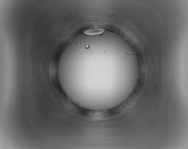 X0000111250129200907021439