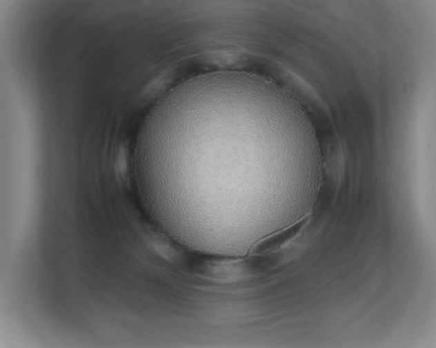 X0000111250132200907021439