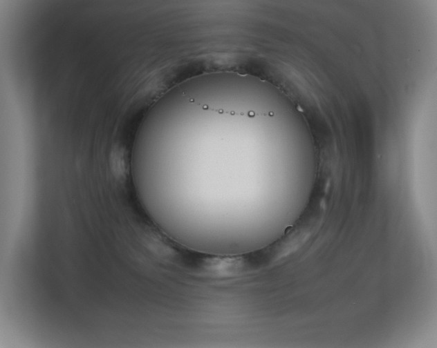 X0000111250135200907021439