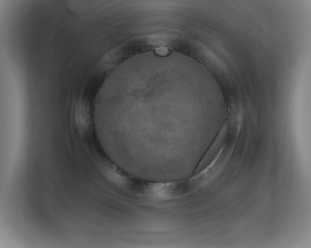 X0000111250136200907021439