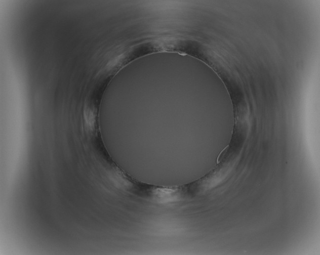 X0000111250139200907021439