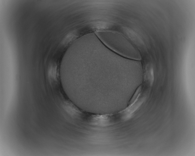 X0000111250140200907021439
