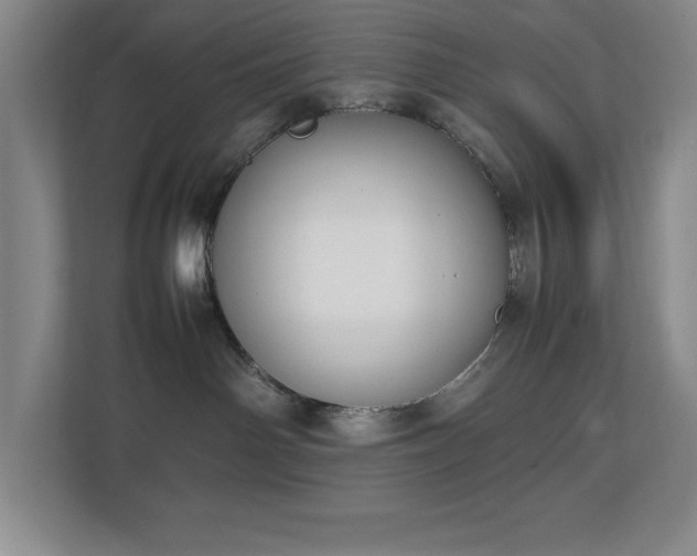 X0000111250142200907021439