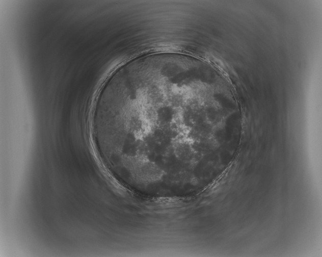 X0000111250145200907021438
