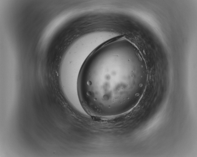 X0000111250146200907021438