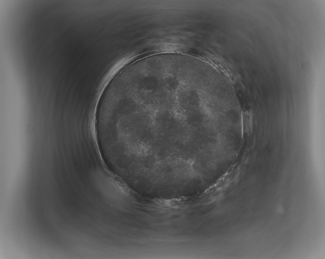 X0000111250147200907021438