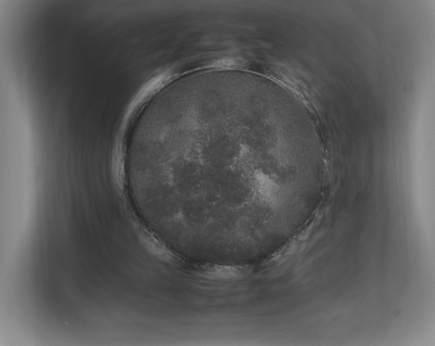 X0000111250149200907021438