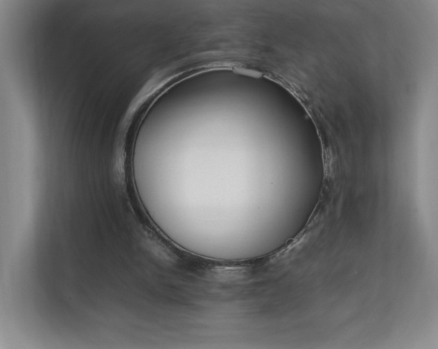 X0000111250150200907021438