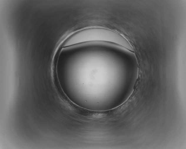X0000111250152200907021438