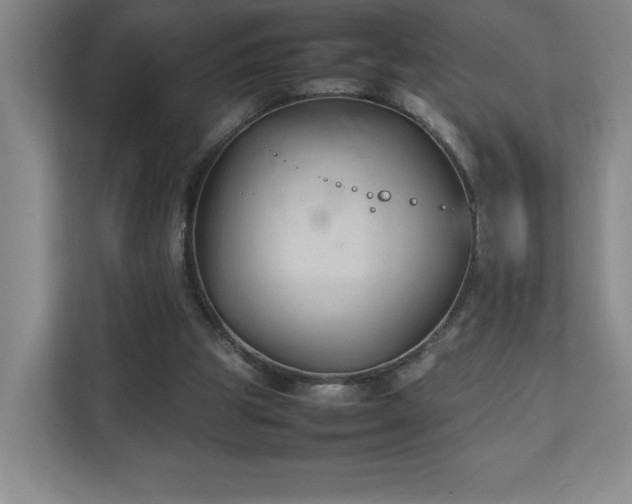 X0000111250153200907021438