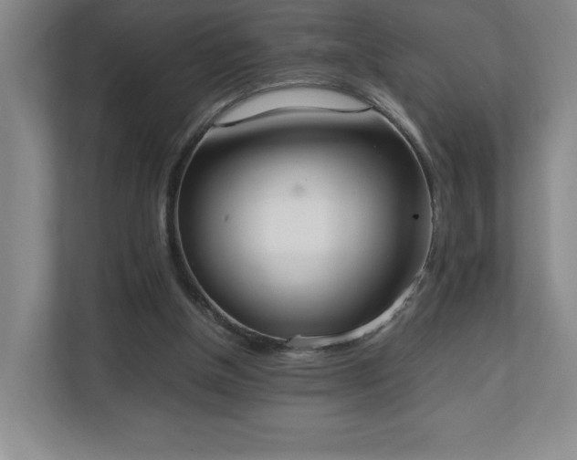 X0000111250154200907021438