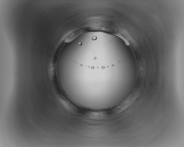 X0000111250160200907021438