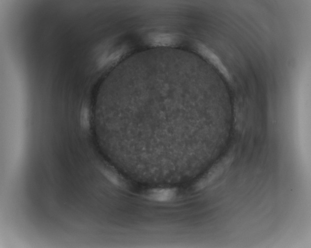 X0000111250161200907021438