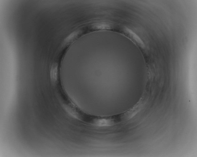 X0000111250163200907021438