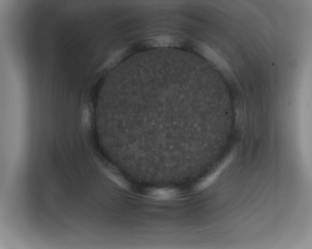 X0000111250165200907021438