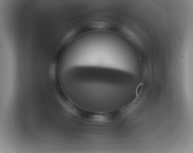 X0000111250167200907021438