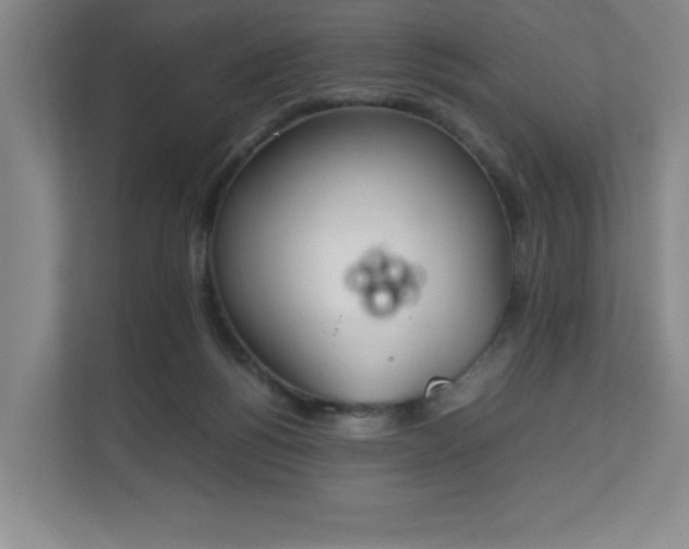 X0000111250168200907021438