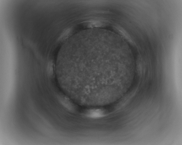 X0000111250169200907021438