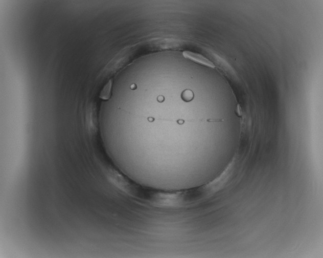 X0000111250170200907021438