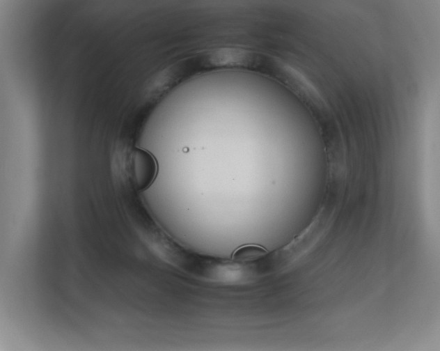 X0000111250171200907021438