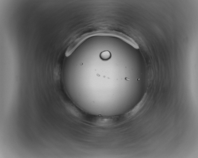 X0000111250174200907021438
