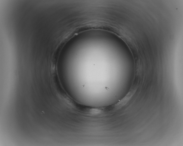 X0000111250176200907021438